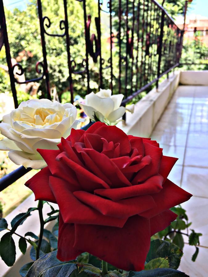 Hotel Самайпата Экстерьер фото
